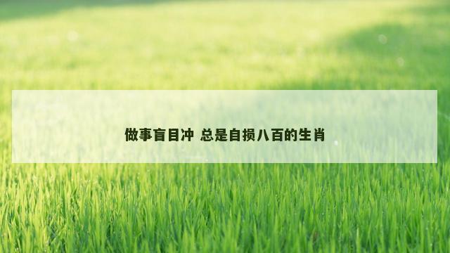 做事盲目冲 总是自损八百的生肖