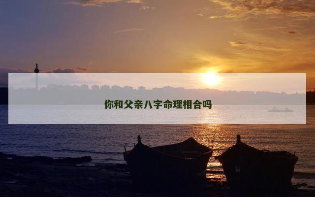 你和父亲八字命理相合吗