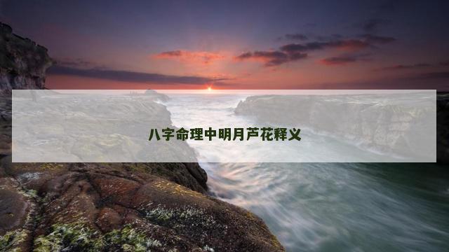 八字命理中明月芦花释义