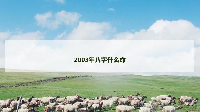 2003年八字什么命