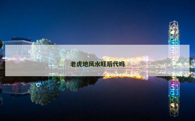 老虎地风水旺后代吗