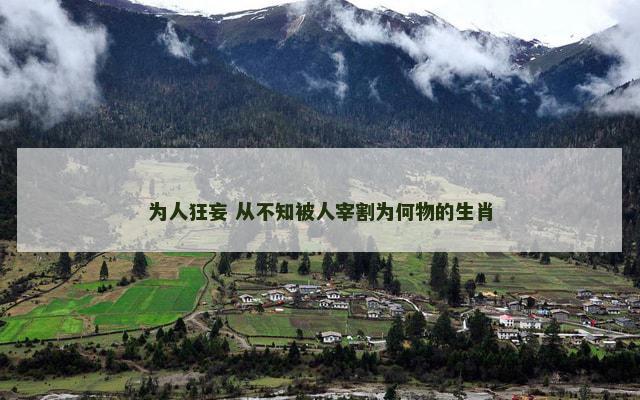 为人狂妄 从不知被人宰割为何物的生肖