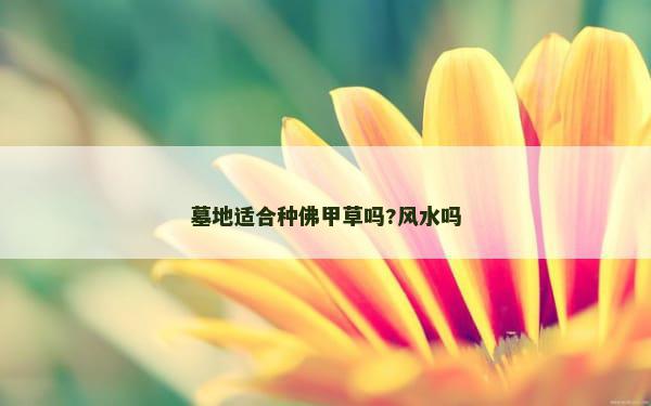 墓地适合种佛甲草吗?风水吗