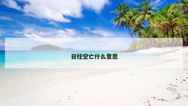 日柱空亡什么意思