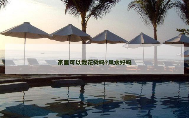 家里可以栽花树吗?风水好吗