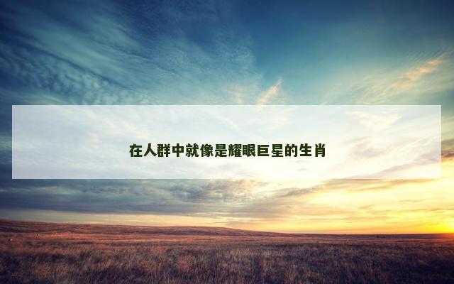 在人群中就像是耀眼巨星的生肖