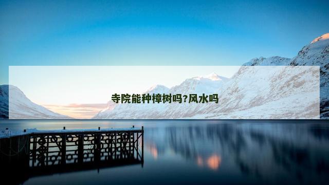 寺院能种樟树吗?风水吗