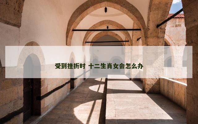 受到挫折时 十二生肖女会怎么办