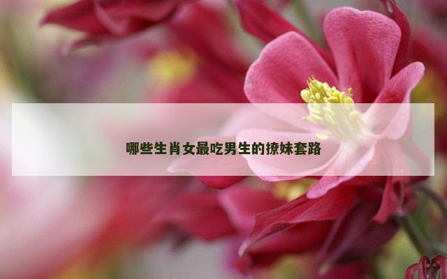 哪些生肖女最吃男生的撩妹套路