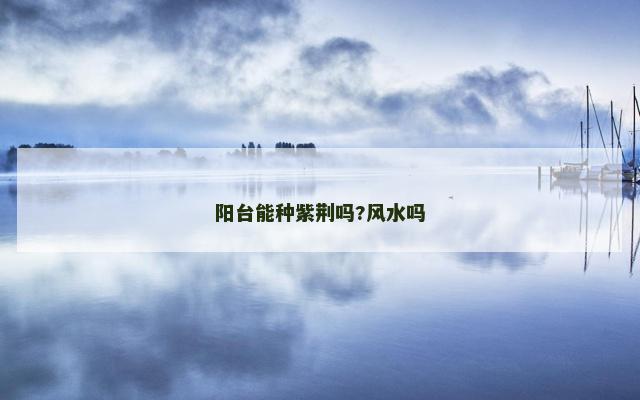阳台能种紫荆吗?风水吗