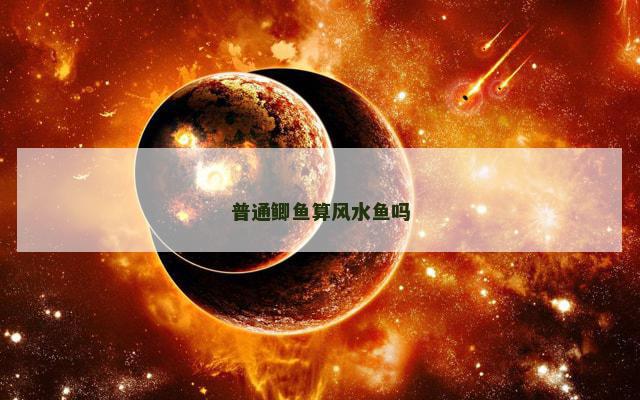 普通鲫鱼算风水鱼吗