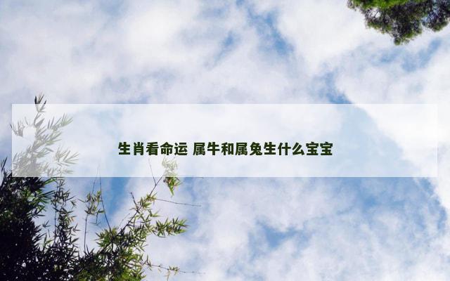 生肖看命运 属牛和属兔生什么宝宝