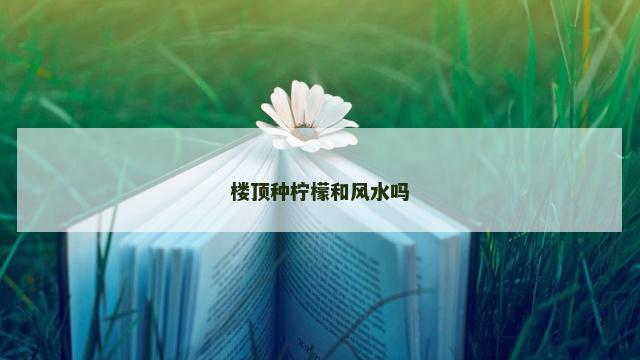 楼顶种柠檬和风水吗