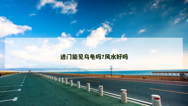 进门能见乌龟吗?风水好吗