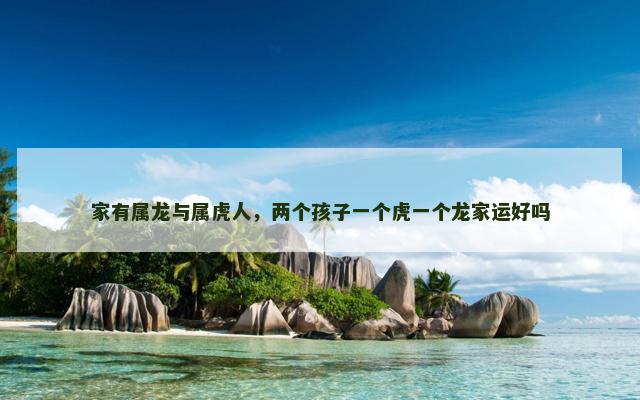 家有属龙与属虎人，两个孩子一个虎一个龙家运好吗