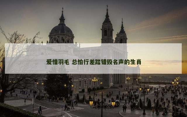 爱惜羽毛 总怕行差踏错毁名声的生肖