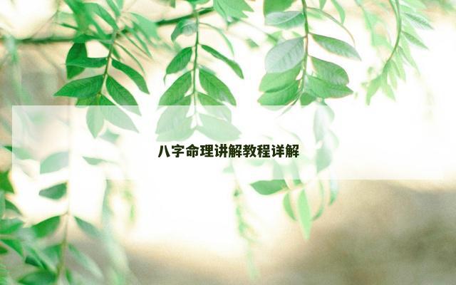 八字命理讲解教程详解