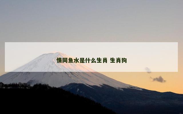 情同鱼水是什么生肖 生肖狗