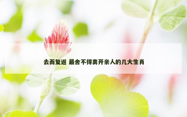 去而复返 最舍不得离开亲人的几大生肖