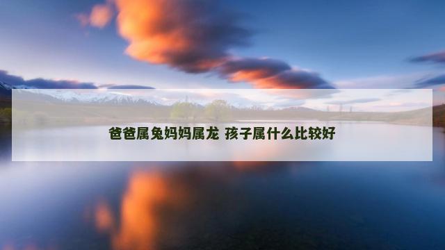 爸爸属兔妈妈属龙 孩子属什么比较好