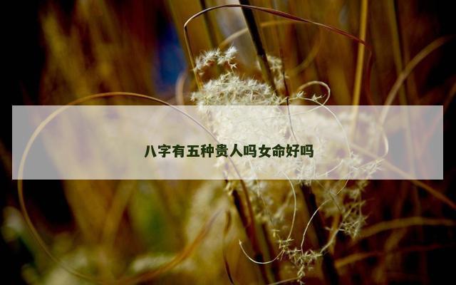 八字有五种贵人吗女命好吗