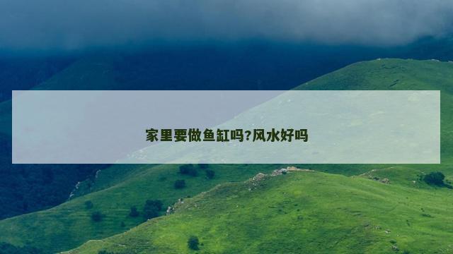 家里要做鱼缸吗?风水好吗