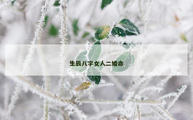 生辰八字女人二婚命