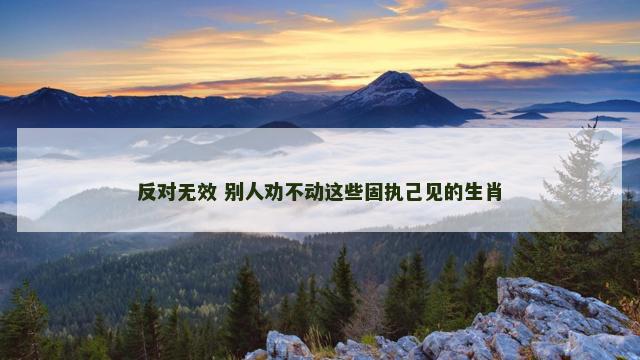 反对无效 别人劝不动这些固执己见的生肖