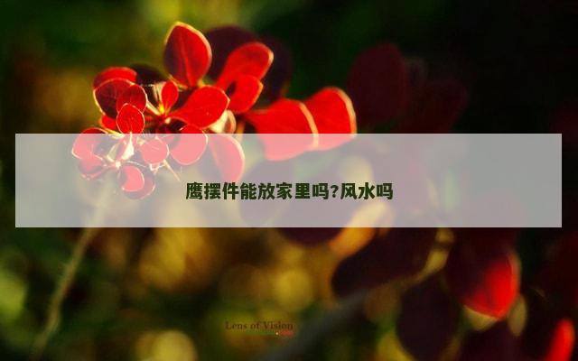 鹰摆件能放家里吗?风水吗