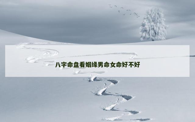 八字命盘看姻缘男命女命好不好