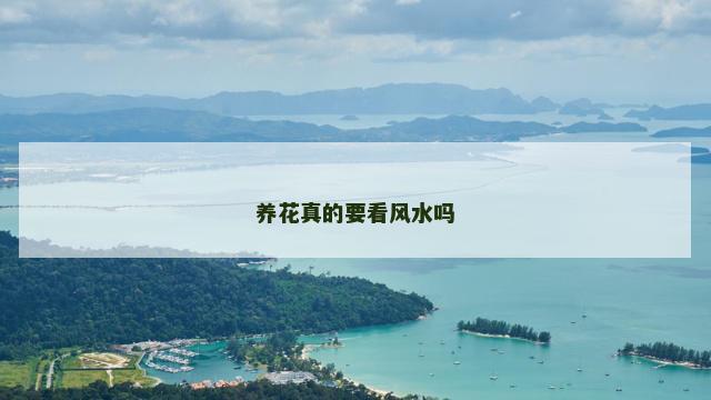 养花真的要看风水吗