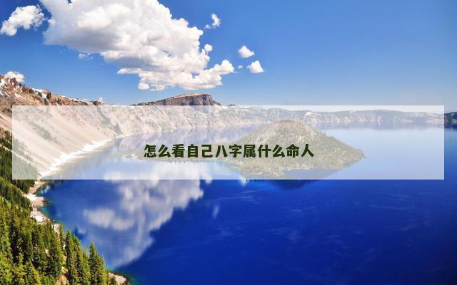 怎么看自己八字属什么命人