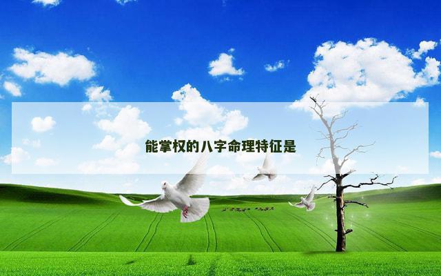 能掌权的八字命理特征是