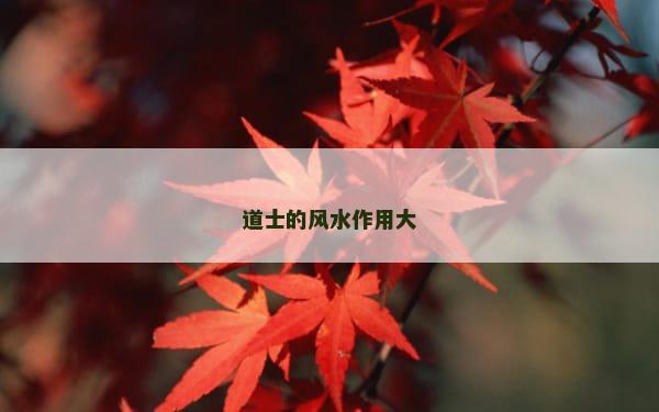道士的风水作用大