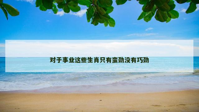 对于事业这些生肖只有蛮劲没有巧劲