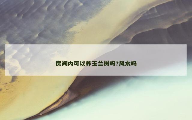 房间内可以养玉兰树吗?风水吗