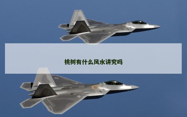 桃树有什么风水讲究吗