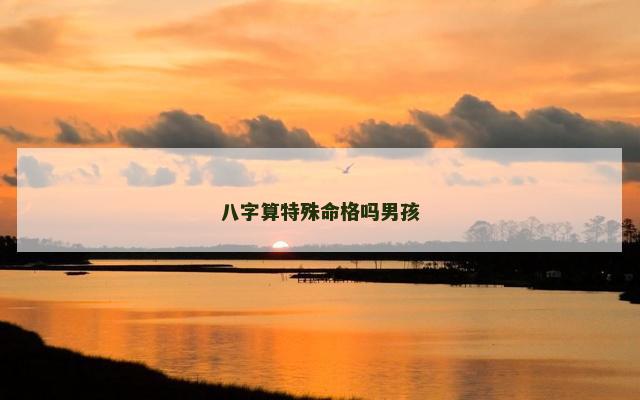 八字算特殊命格吗男孩