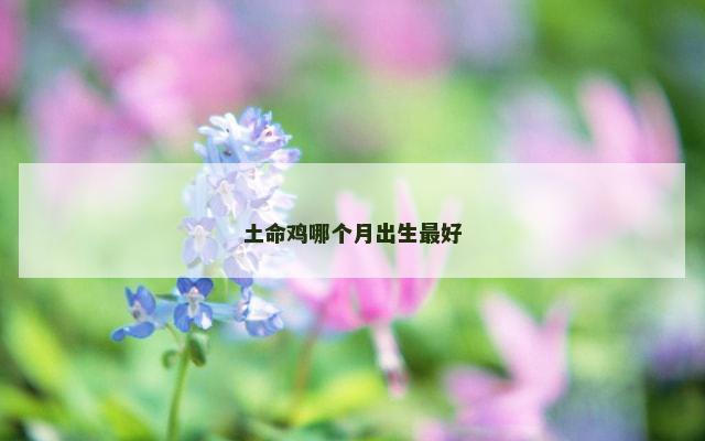 土命鸡哪个月出生最好