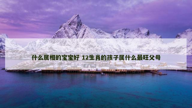 什么属相的宝宝好 12生肖的孩子属什么最旺父母