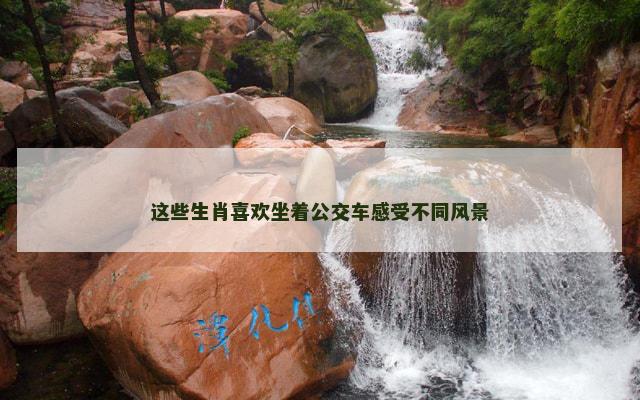 这些生肖喜欢坐着公交车感受不同风景