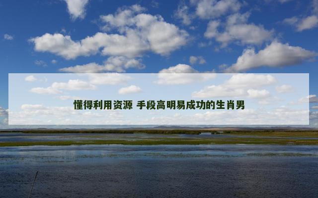 懂得利用资源 手段高明易成功的生肖男