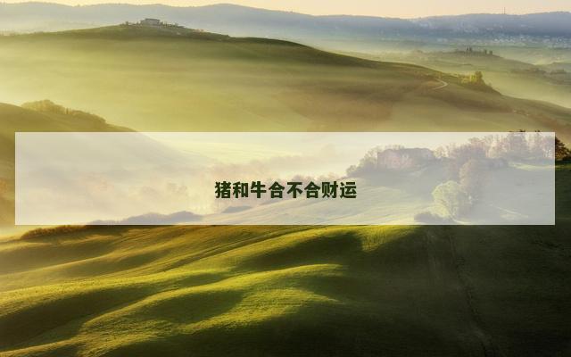 猪和牛合不合财运