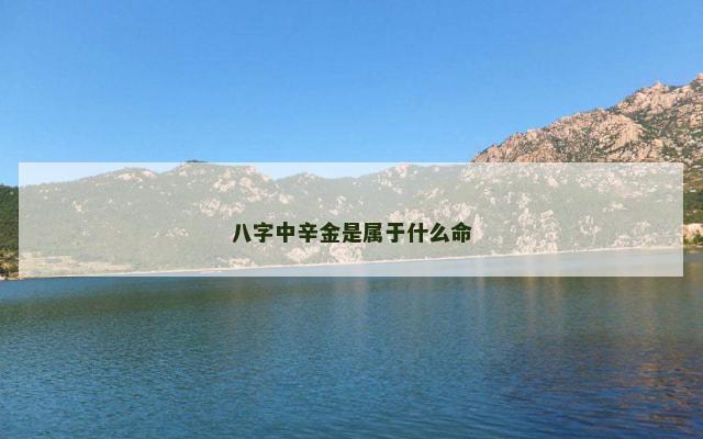 八字中辛金是属于什么命