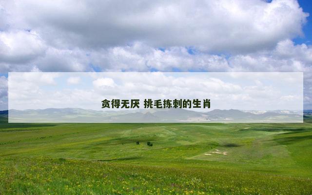 贪得无厌 挑毛拣刺的生肖