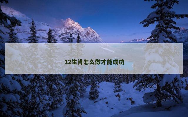 12生肖怎么做才能成功