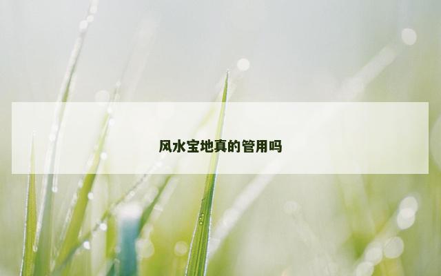 风水宝地真的管用吗
