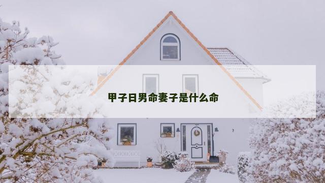 甲子日男命妻子是什么命