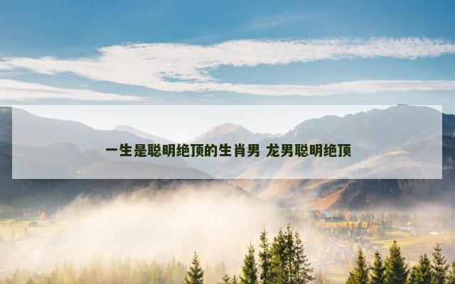 一生是聪明绝顶的生肖男 龙男聪明绝顶