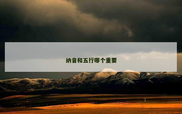 纳音和五行哪个重要